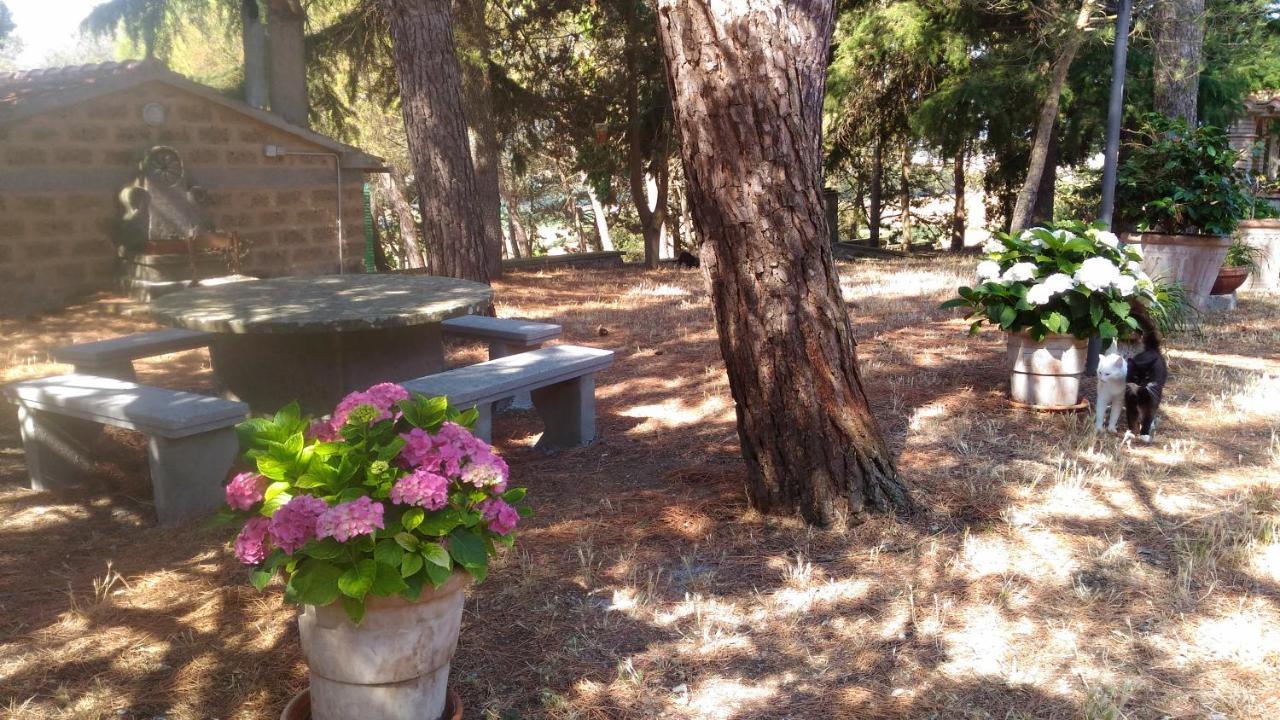 Agriturismo Sant'angelo Farm stay