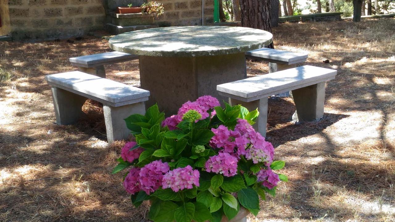 Agriturismo Sant'angelo Farm stay